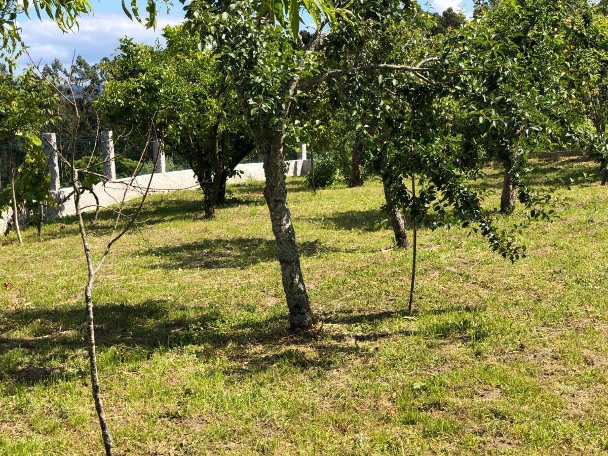 Pensjonat Casa Estrella Tebra Zewnętrze zdjęcie